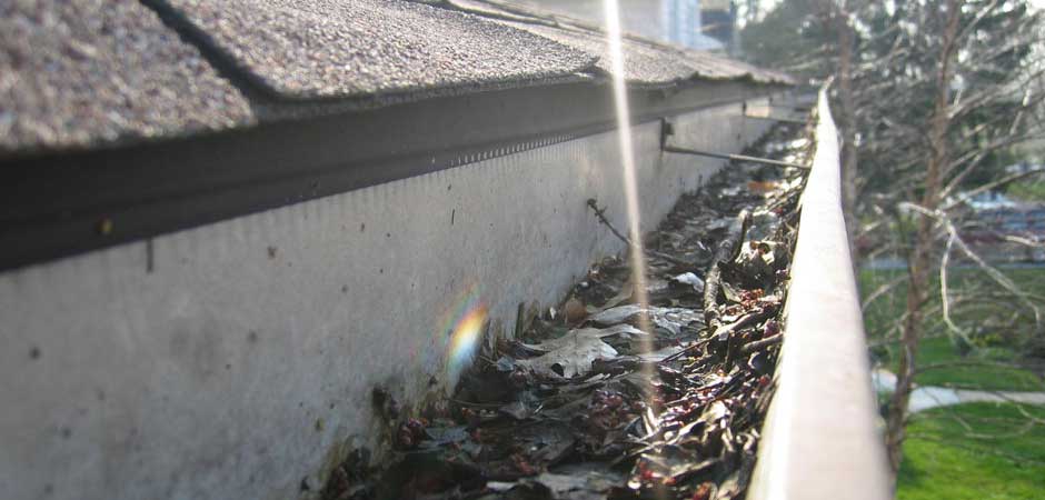  Schoonmaakbedrijf, dakgootreiniging, dakgootreiniger, dakgoten, wateroverlast, waterschade, regenwater, lekkage, verstopt, regenpijp, afvoer, hemelwater, boldraadrooster, korf, bedrijfspand, herfst, bladeren, bladval, zwanenhals, loodgieter